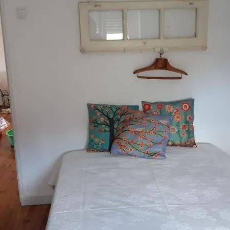 The Grandparents'house Ii *